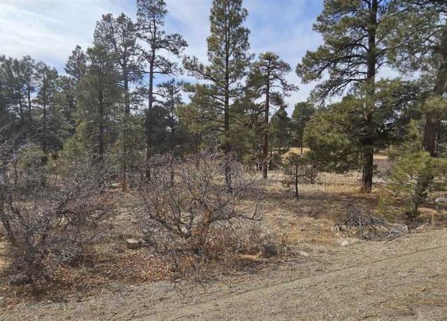 Property at 97 E Golf, Pagosa Springs, CO 81147