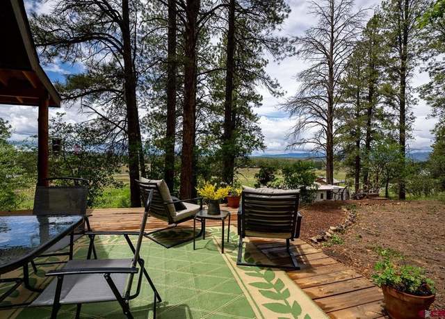 Property at 201 Pineview Rd, Pagosa Springs, CO 81147