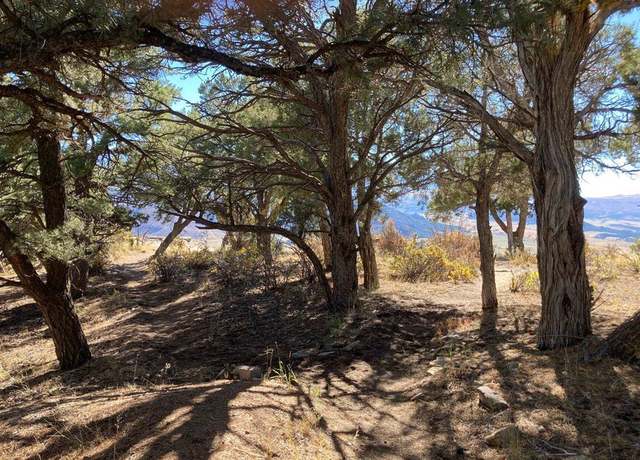 Property at TBD (Lot 4) Pine Dr, Ridgway, CO 81432
