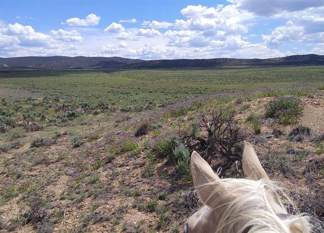 Property at tbd 25r Rd, Naturita, CO 81423