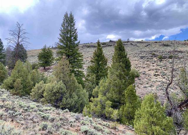 Property at TBD Co Hwy 114, Gunnison, CO 81230