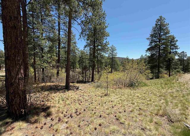Property at TBD Ventana Pass, Durango, CO 81301