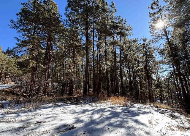 Property at 228 Timber Dr, Bayfield, CO 81122