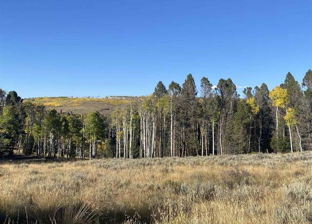 Property at 670 Crest Dr, Cimarron, CO 81220