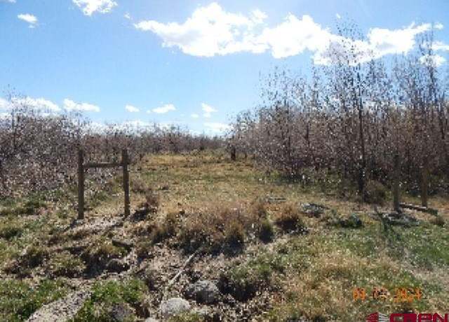 Property at tbd Hwy 65, Eckert, CO 81418