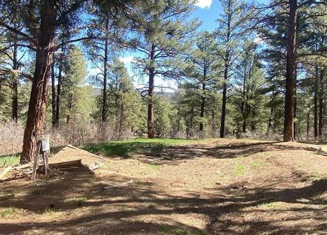 Property at 116 Nutria Cir, Pagosa Springs, CO 81147