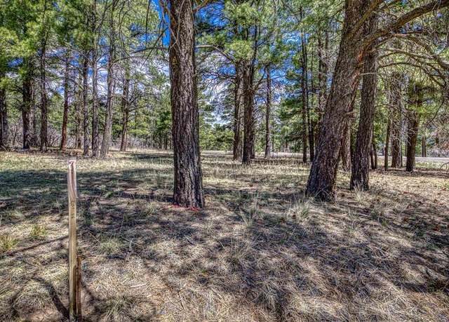 Property at 824 Antelope Ave, Pagosa Springs, CO 81147
