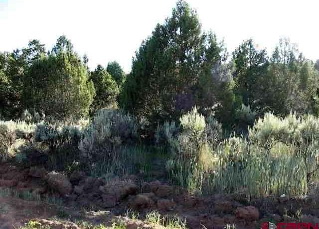 Property at #10 Juniper Dr, Norwood, CO 81423