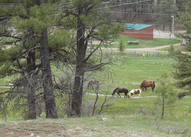 Property at 6 Laurel Dr, Pagosa Springs, CO 81147