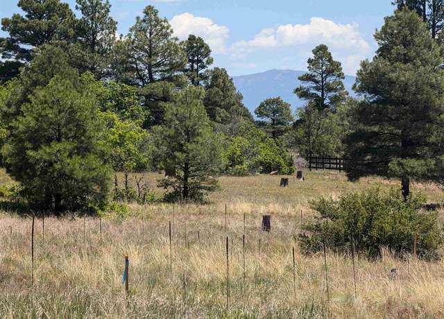 Property at 16 Mansions Cir, Pagosa Springs, CO 81147