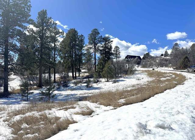 Property at 184 Clint Cir, Pagosa Springs, CO 81147