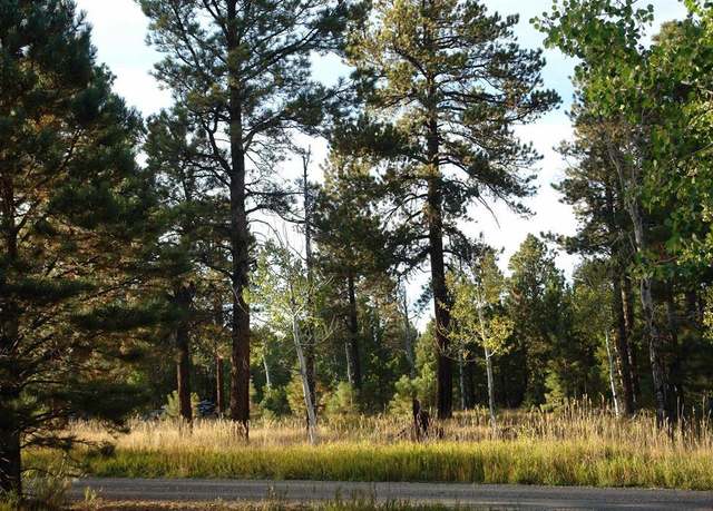 Property at 80 W Piney Woods Way, Placerville, CO 81430