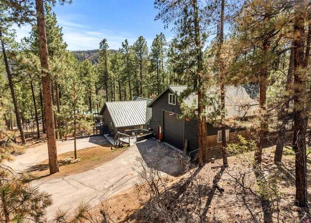 Property at 289 Pine Tree Dr, Bayfield, CO 81122, 3 beds, 2 baths