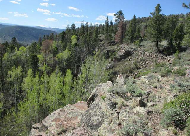 Property at L51/U2 Mosquito Way, Powderhorn, CO 81243