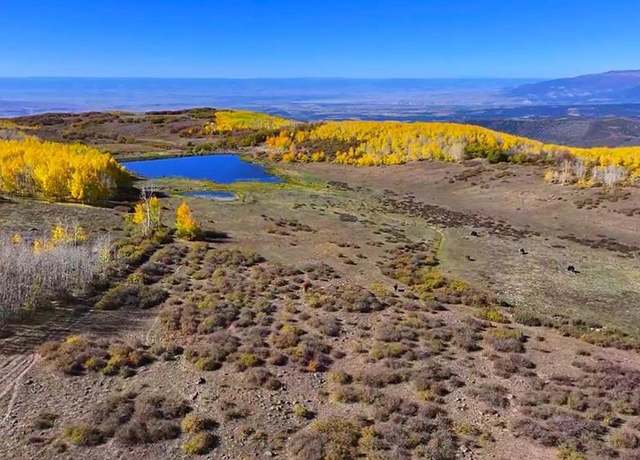 Property at 33339 Oak Mesa Rd, Hotchkiss, CO 81419