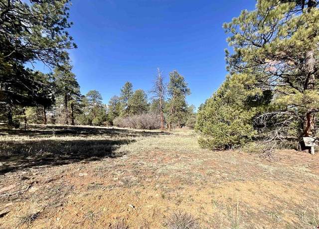 Property at TBD S Badger Trl, Ridgway, CO 81432