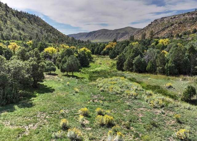 Property at TBD Road 46, Mancos, CO 81328