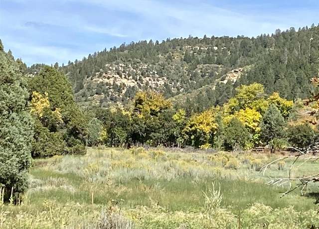Property at TBD Road 46, Mancos, CO 81328