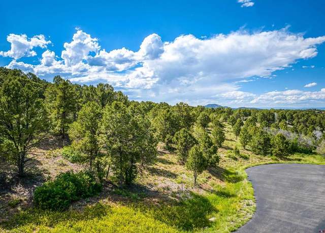 Property at Lot 9 Pointe Escape Dr, Ridgway, CO 81432