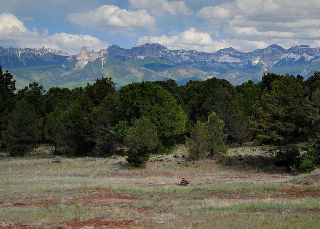 Property at TBD Ponderosa Dr, Ridgway, CO 81432