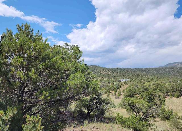 Property at 374 Cactus Rd, South Fork, CO 81154