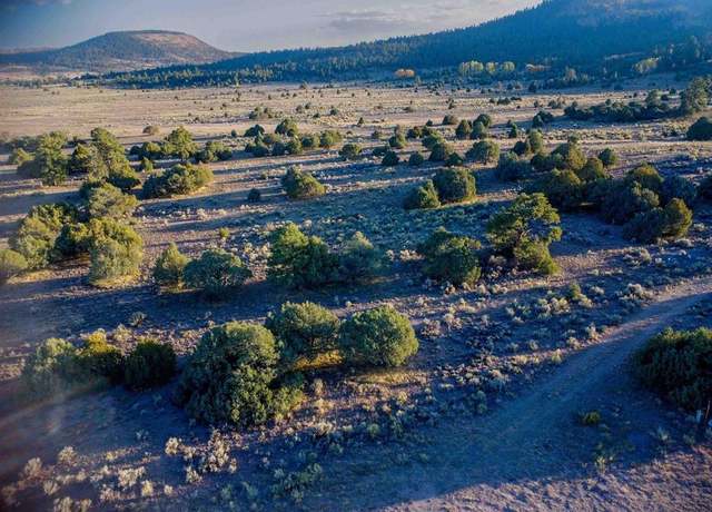 Property at Block 10 Lot 1 Conejos Trails Rd, Conejos, CO 81120