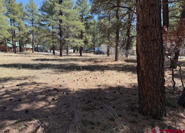 Property at 174 Oakwood Cir, Pagosa Springs, CO 81147