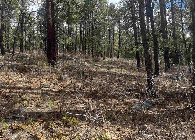 Property at 101 Pine Crest Dr, Bayfield, CO 81122
