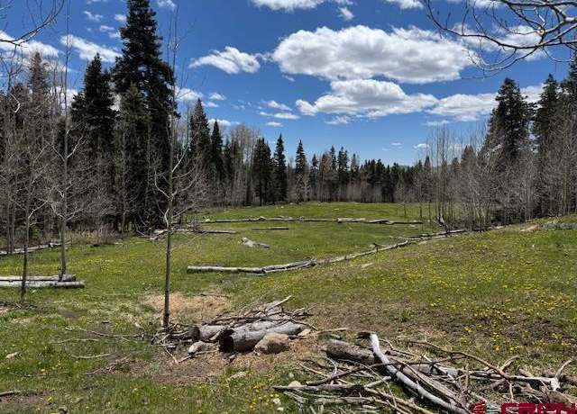 Property at 4558 Middle Mountain Rd, Bayfield, CO 81122