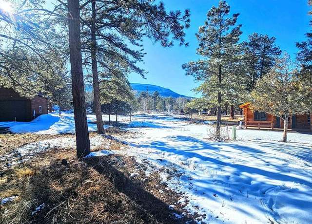 Property at 165 Bristlecone Dr, South Fork, CO 81154
