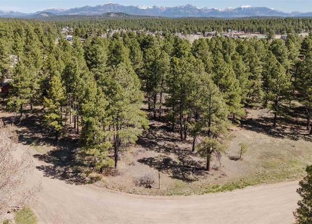 Property at 57 Martinez Pl, Pagosa Springs, CO 81147