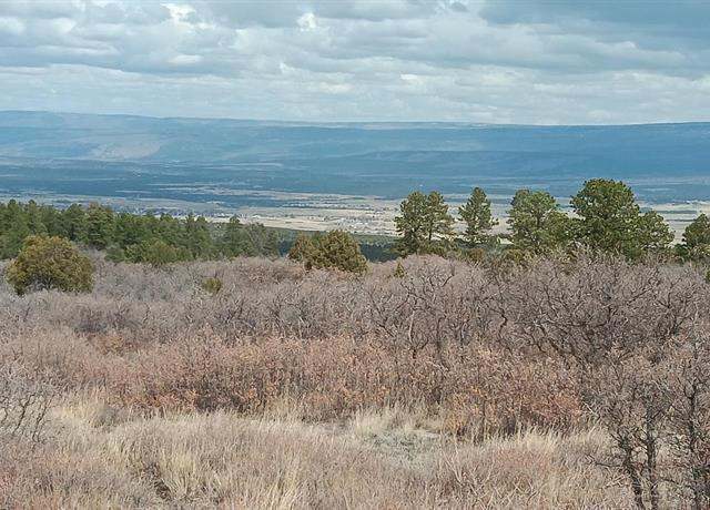 Property at 585 N Avalon Dr, Norwood, CO 81423, 2 beds, 2 baths