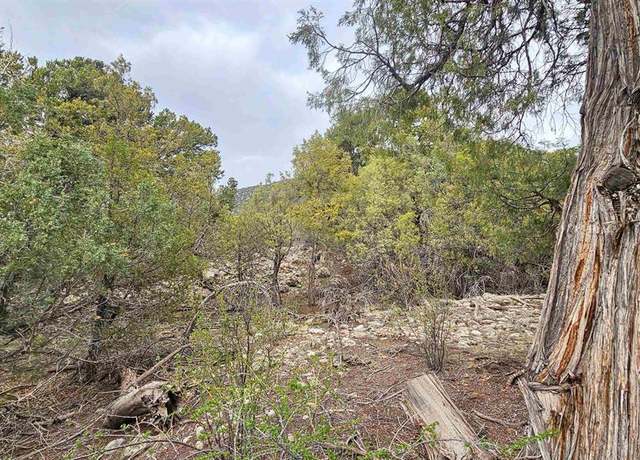Property at 4233 Tranquil Way, Crestone, CO 81143