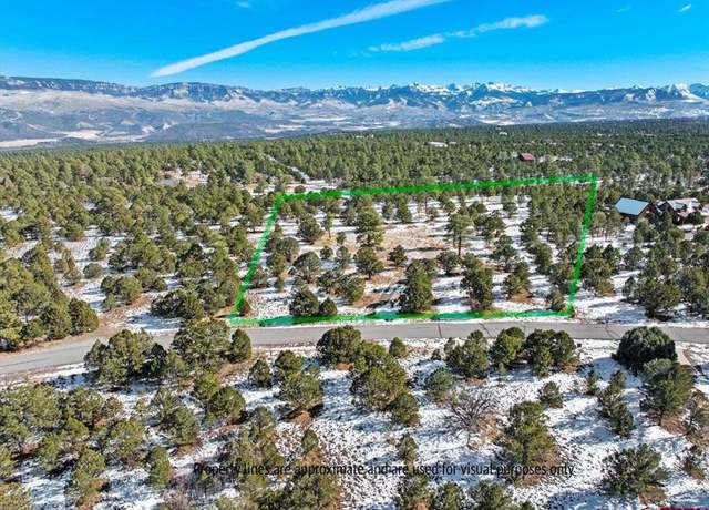 Property at 193 Fisher Canyon Dr, Ridgway, CO 81432