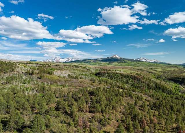 Property at TBD M44, Smr Tract 13-5, Placerville, CO 81430