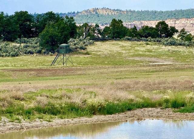 Property at Undisclosed address, Regina, NM 87575, 4 beds, 2 baths