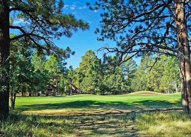 Property at 1325 Marmot Dr, Ridgway, CO 81432