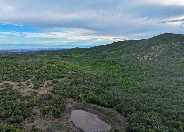 Property at 000 Currant Creek Rd, Cedaredge, CO 81413