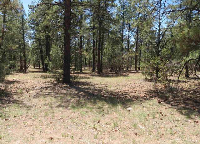 Property at 491 Crooked Rd, Pagosa Springs, CO 81147