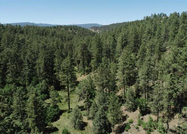 Property at 2620/76,2868/92 Crooked Rd, Pagosa Springs, CO 81147