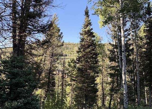 Property at 449 Ute Dr, Cimarron, CO 81220
