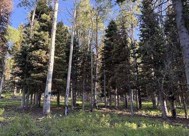 Property at 447 Ute Dr, Cimarron, CO 81220