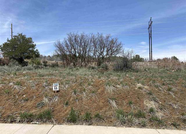 Property at 95 Salt Brush St, Durango, CO 81301