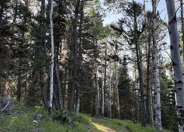Property at 459 Ute Dr, Cimarron, CO 81220