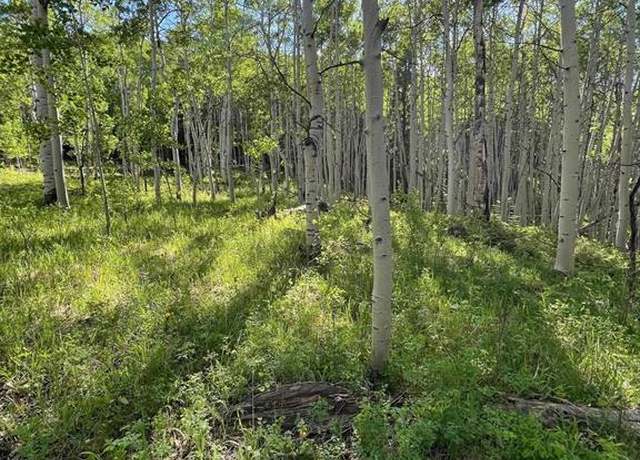 Property at TBD Eagles Rst, Cimarron, CO 81220