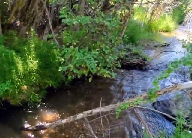 Property at 175 Bear Cub Holw, South Fork, CO 81154