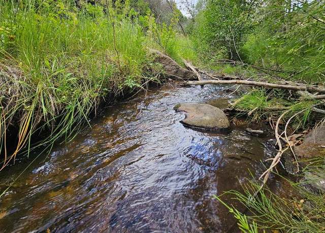 Property at 175 Bear Cub Holw, South Fork, CO 81154