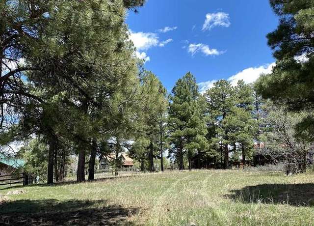 Property at 30 Fawn Ct, Pagosa Springs, CO 81147