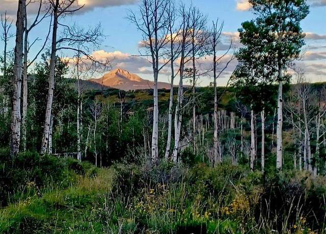 Property at TBD Lot B M44 Rd, Placerville, CO 81430