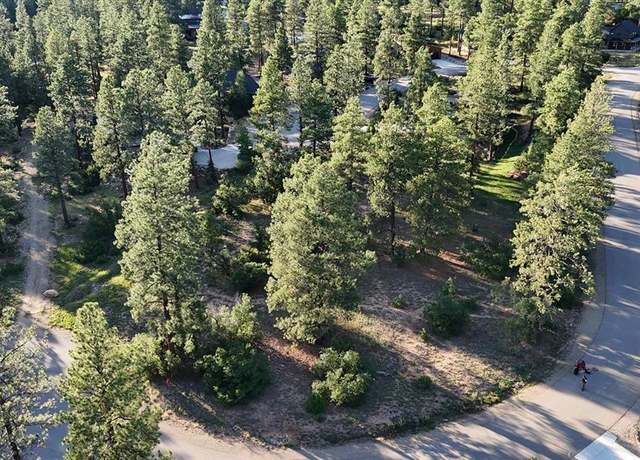 Property at 91 Engine Creek Ct, Durango, CO 81301